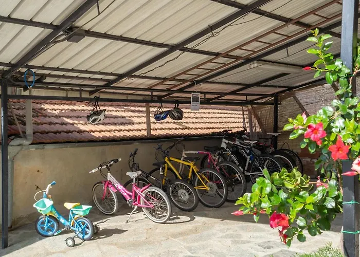 Arancia - Ptb153 By Interhome